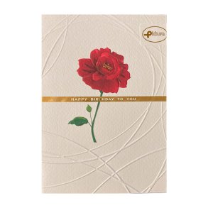 Kort med Natur Kuvert. / R�d Rose - 