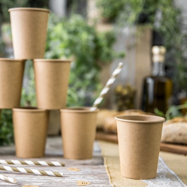 Natur Papkrus / 6 Stk. 