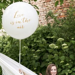 'Love Is In The Air'  1 M. /Guld Tekst