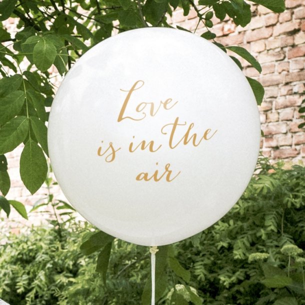 'Love Is In The Air'  1 M. /Guld Tekst