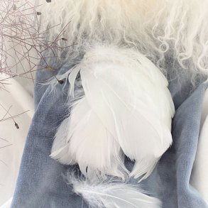 Dekorations Fjer/Hvid