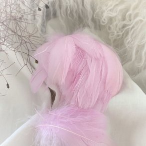 Dekorations Fjer/Lyserd