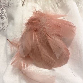 Dekorations Fjer/Gammel Rosa