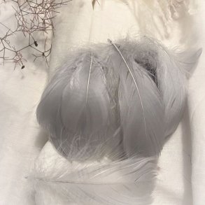 Dekorations Fjer/lyse gr