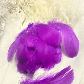 Dekorations Fjer/Lilla