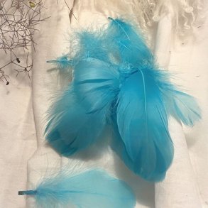 Dekorations Fjer/ Bl