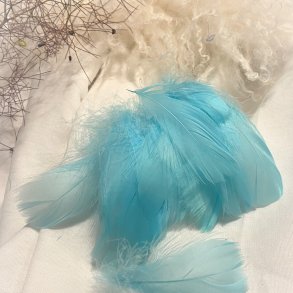 Dekorations Fjer/ Lysebl