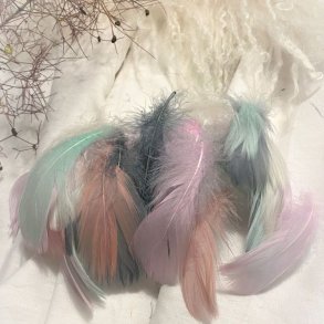 Dekorations Fjer/Pastel Mix Mrk