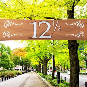 Banner Kobber 12 / 40 x 180 cm.