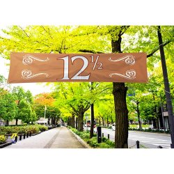 Banner Kobber 12 / 40 x 180 cm.