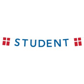 STUDENT Guirlande Bl/ 4 M.