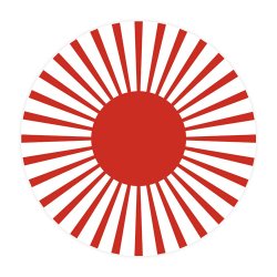 Pirat Muffinforme / 75 stk.